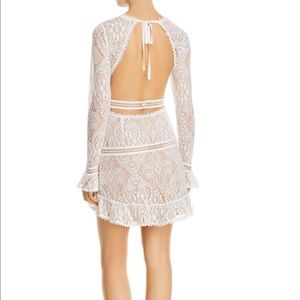 Emerge Open back lace dress